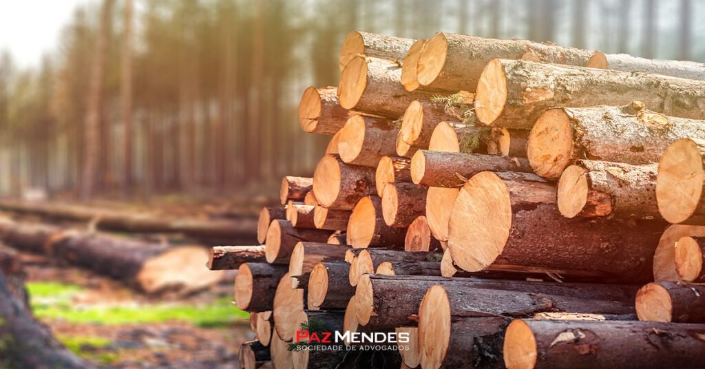 Crimes Ambientais e a Lei 9.605: conheça os tipos e suas penas!