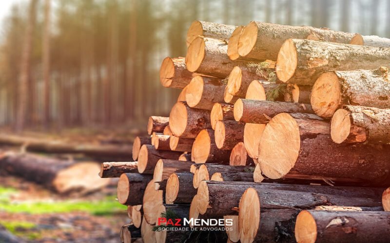 Crimes Ambientais e a Lei 9.605: conheça os tipos e suas penas!