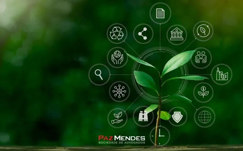 Como funciona um processo criminal ambiental