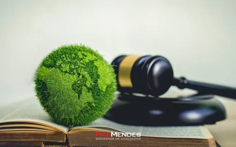 Defesa Administrativa