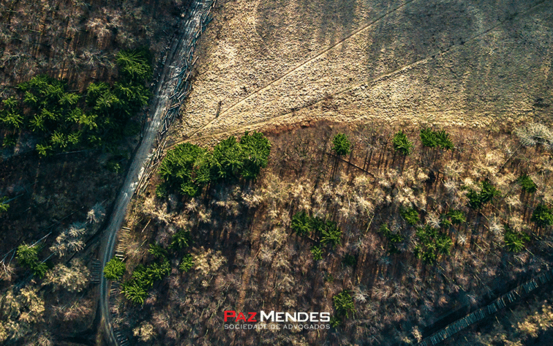 Procedimentos legais após a lavratura de um auto de infração ambiental: prazos e estratégias de defesa Procedimentos legais após a lavratura de um auto de infração ambiental: prazos e estratégias de defesa