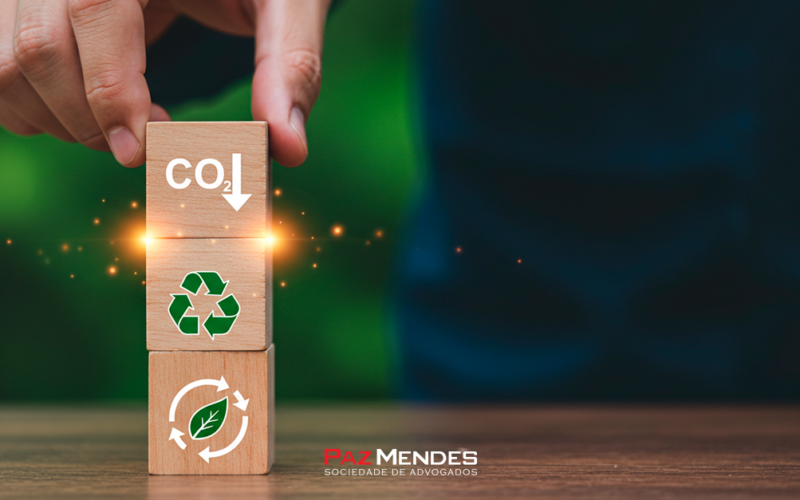 Análise de nulidades em autos de infração ambiental: Aspectos formais e Materiais