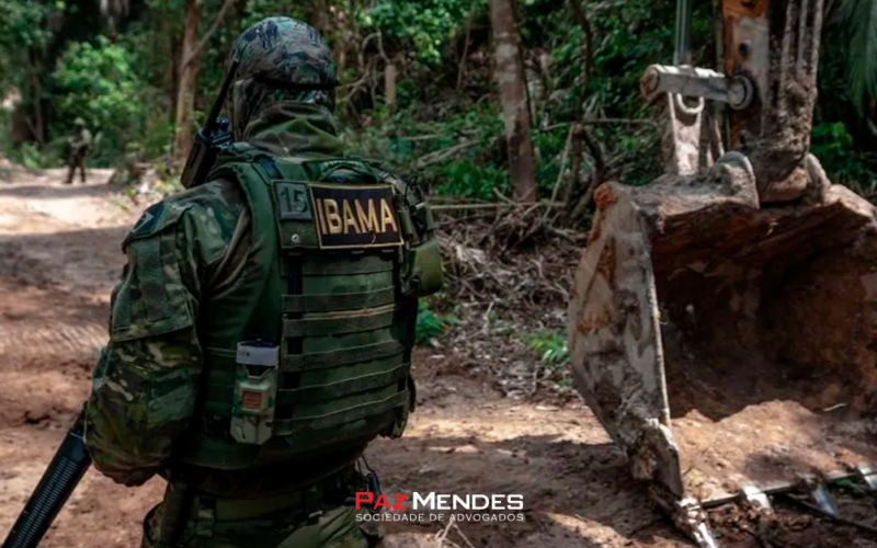 O Papel do IBAMA e dos órgãos Estaduais na fiscalização e autuação ambiental